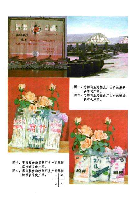 《枣阳财政金融贸易志》.pdf电子版_湖北省志预览图5