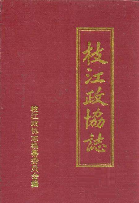 《枝江政协志(1980.12-1996.11)》.pdf电子版_湖北省志缩略图