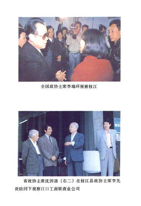 《枝江政协志(1980.12-1996.11)》.pdf电子版_湖北省志预览图3