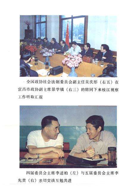 《枝江政协志(1980.12-1996.11)》.pdf电子版_湖北省志预览图4