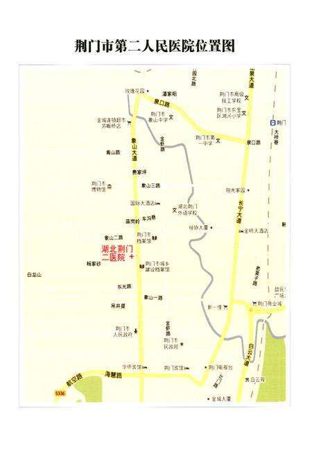 《荆门市第二人民医院志》.pdf电子版_湖北省志预览图3