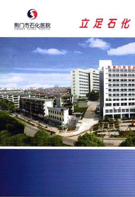 《荆门石化医院院志(1951-2006)》.pdf电子版_湖北省志预览图2