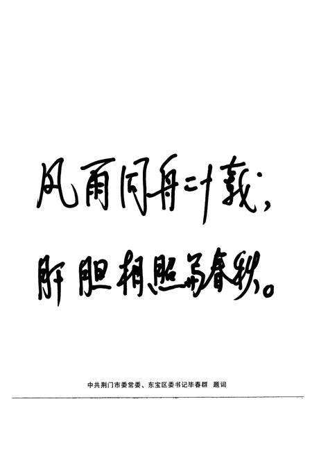 《东宝区政协志(1987~2007)》.pdf电子版_湖北省志预览图4