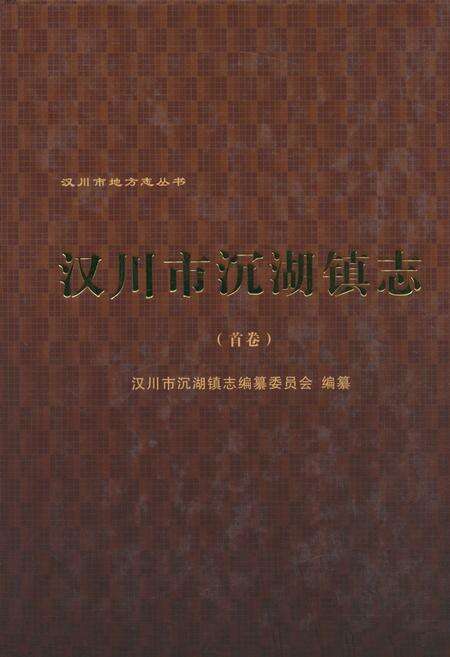 《《汉川市沉湖镇志(首卷)》》.pdf电子版_湖北省志缩略图