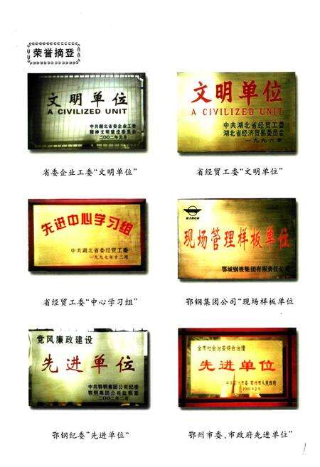 《《鄂钢焦化厂志(1995-2001)》》.pdf电子版_湖北省志预览图2