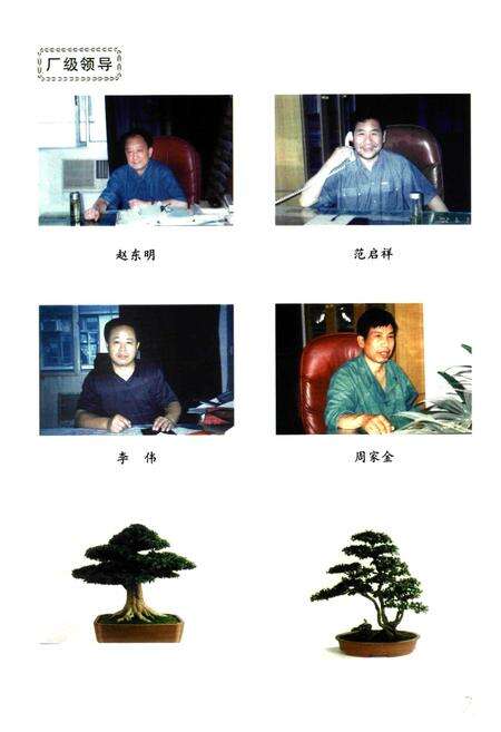 《《鄂钢焦化厂志(1995-2001)》》.pdf电子版_湖北省志预览图4