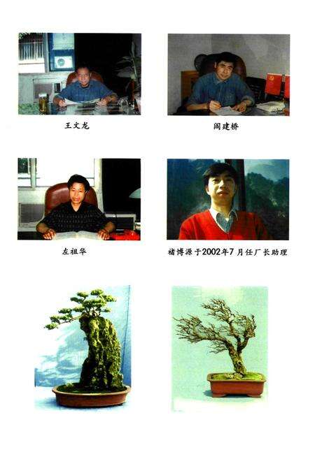 《《鄂钢焦化厂志(1995-2001)》》.pdf电子版_湖北省志预览图5