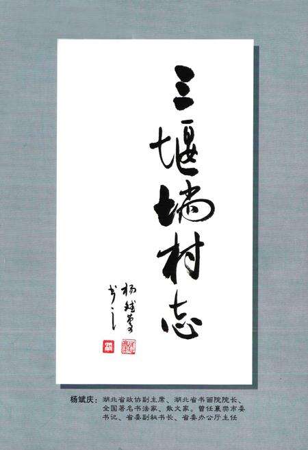 《三堰淌村志》.pdf电子版_湖北省志预览图1