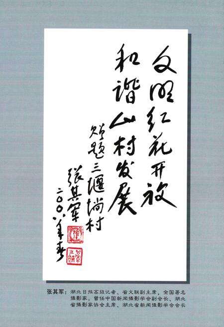 《三堰淌村志》.pdf电子版_湖北省志预览图3