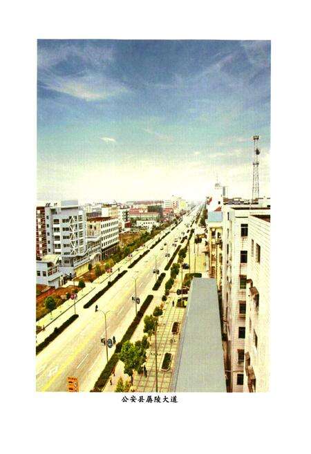 《公安县财政志(1991-2005)》.pdf电子版_湖北省志预览图3