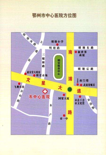 《鄂州市中心医院志(1946-2006)》.pdf电子版_湖北省志预览图4