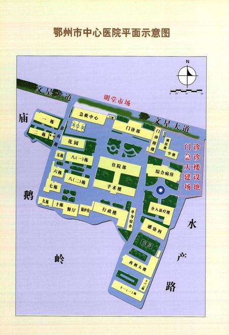 《鄂州市中心医院志(1946-2006)》.pdf电子版_湖北省志预览图5
