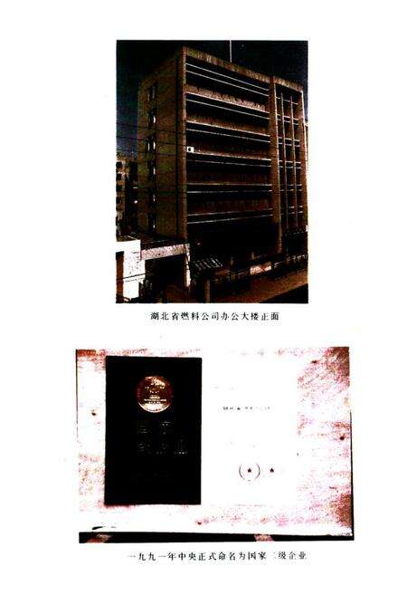 《《湖北省燃料公司志》》.pdf电子版_湖北省志预览图2