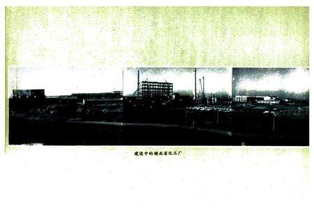 《《厂志(第一卷)》》.pdf电子版_湖北省志预览图4