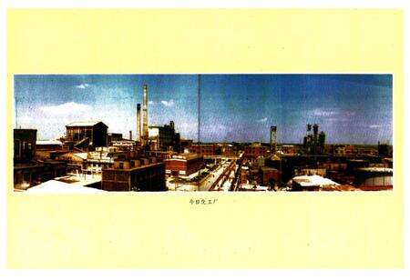 《《厂志(第一卷)》》.pdf电子版_湖北省志预览图5