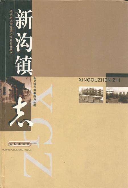 《新沟镇志》.pdf电子版_湖北省志缩略图