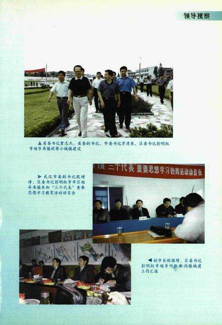 《新沟镇志》.pdf电子版_湖北省志预览图3