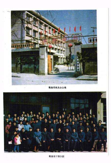 《《公安县粮食志》》.pdf电子版_湖北省志预览图3