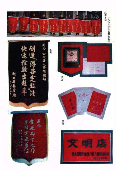 《《公安县粮食志》》.pdf电子版_湖北省志预览图4