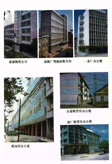 《《公安县粮食志》》.pdf电子版_湖北省志预览图5