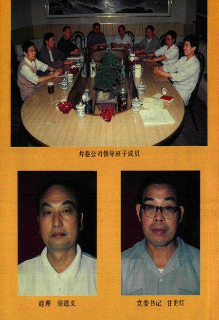 《大冶有色井巷公司志(1963-1993)》.pdf电子版_湖北省志预览图4