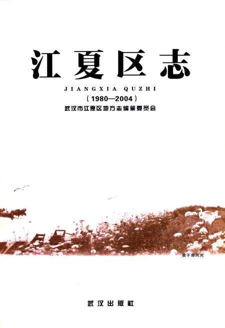 《江夏区志(1980-2004)》.pdf电子版_湖北省志预览图1