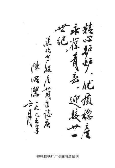 《《鄂钢焦化分厂志(1970-1994)》》.pdf电子版_湖北省志预览图5