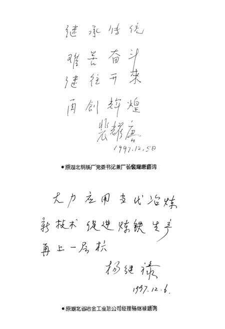 《《炼铁分厂志(1958-1998)》》.pdf电子版_湖北省志预览图5