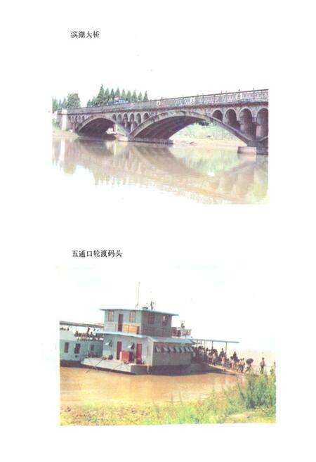 《《武湖农场志》》.pdf电子版_湖北省志预览图4