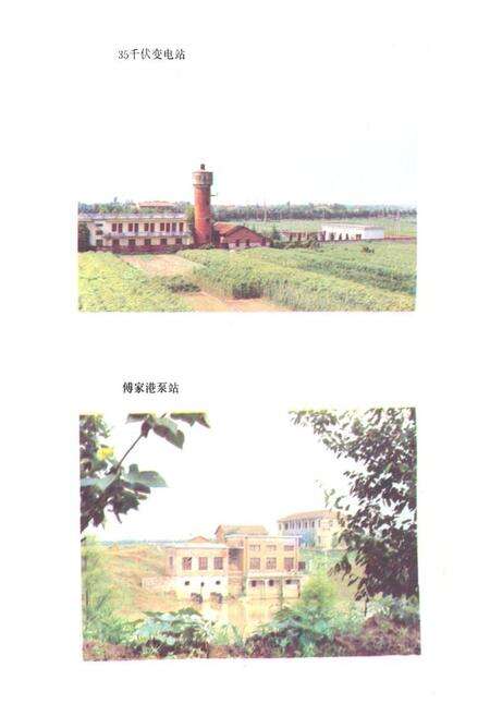 《《武湖农场志》》.pdf电子版_湖北省志预览图5