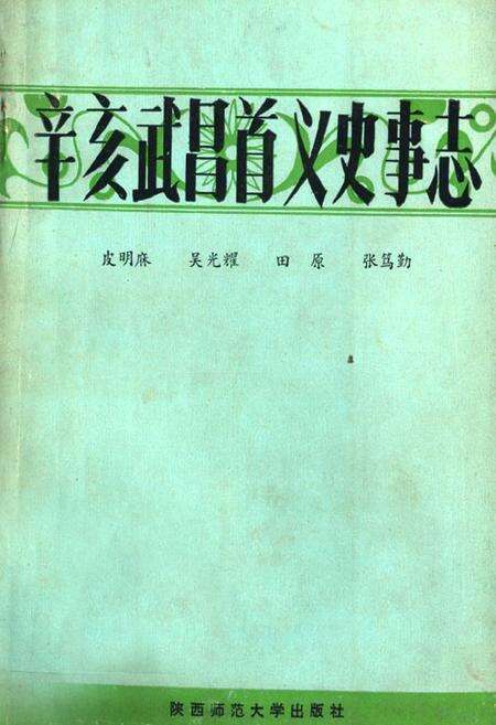 《辛亥武昌首义史事志》.pdf电子版_湖北省志缩略图