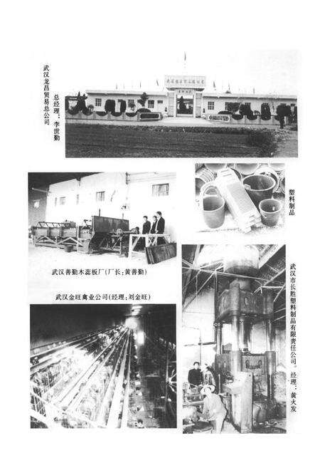 《《三店镇志》》.pdf电子版_湖北省志预览图5