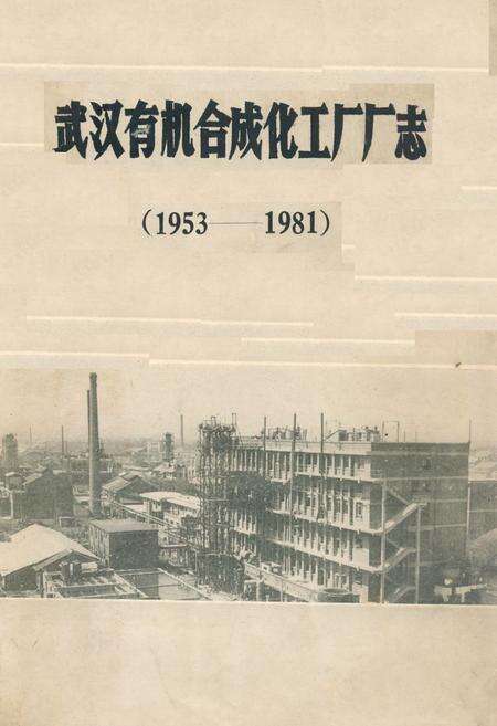 《《武汉有机合成化工厂厂志》(1953-1981)》.pdf电子版_湖北省志缩略图