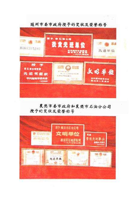 《《随州石油志》》.pdf电子版_湖北省志预览图5