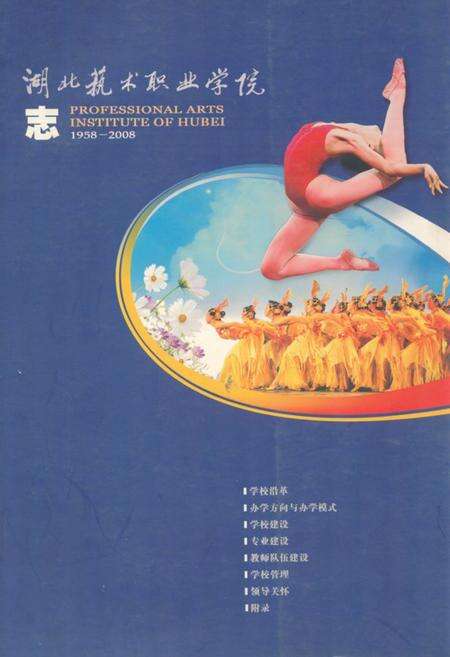《《湖北技术职业学院志(1958-2008)》》.pdf电子版_湖北省志缩略图