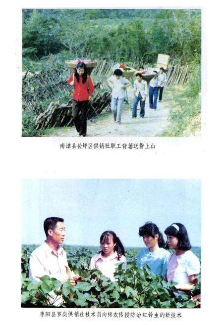 《湖北省供销合作社志》.pdf电子版_湖北省志预览图3