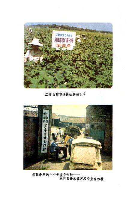 《湖北省供销合作社志》.pdf电子版_湖北省志预览图4