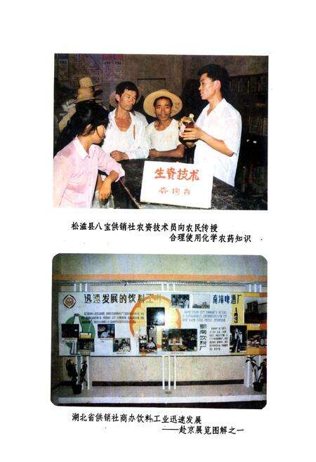 《湖北省供销合作社志》.pdf电子版_湖北省志预览图5