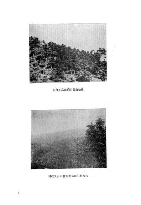 《红安县林业志》.pdf电子版_湖北省志预览图4