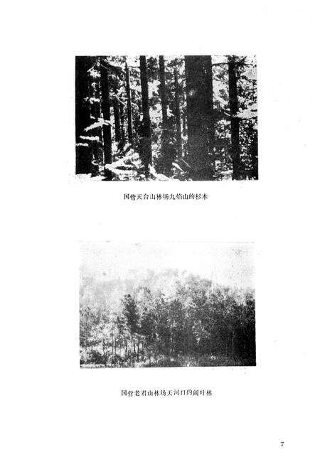 《红安县林业志》.pdf电子版_湖北省志预览图5