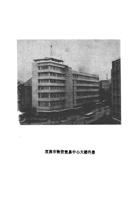 《宜昌市物资贸易中心站》.pdf电子版_湖北省志预览图4