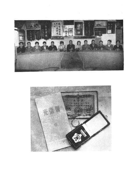 《农科村简志》.pdf电子版_湖北省志预览图5
