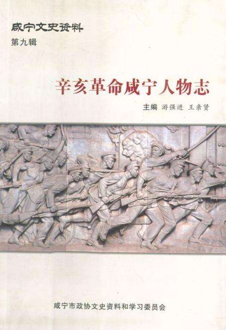 《辛亥革命咸宁人物志》.pdf电子版_湖北省志缩略图