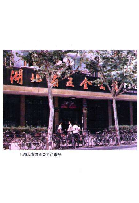 《湖北省商业简志(第四册)·五金商业志》.pdf电子版_湖北省志预览图2