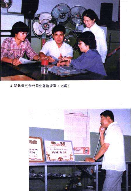 《湖北省商业简志(第四册)·五金商业志》.pdf电子版_湖北省志预览图4