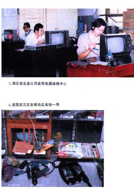 《湖北省商业简志(第四册)·五金商业志》.pdf电子版_湖北省志预览图5