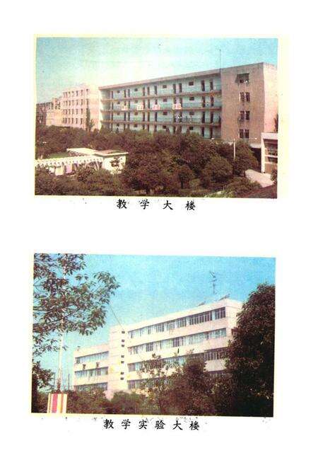 《《湖北建材学校人物志英材集》(1975-1995)》.pdf电子版_湖北省志预览图4