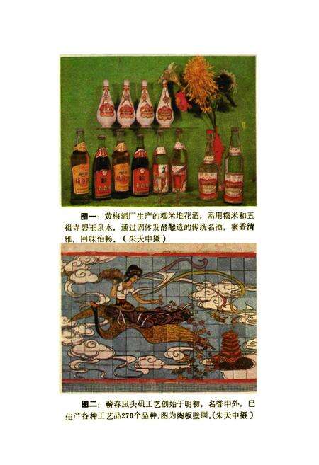 《鄂东名物风味辑览》.pdf电子版_湖北省志预览图2