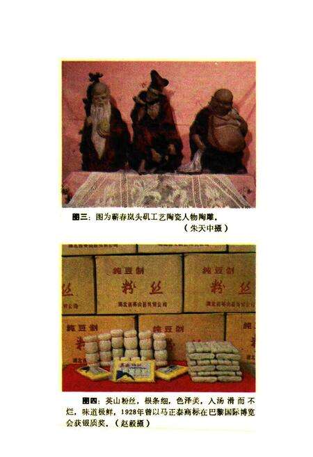 《鄂东名物风味辑览》.pdf电子版_湖北省志预览图3