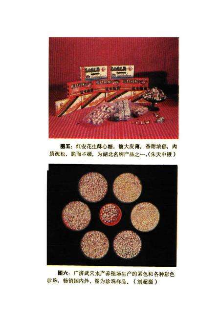 《鄂东名物风味辑览》.pdf电子版_湖北省志预览图4